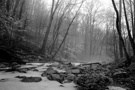 Monochrome study 1