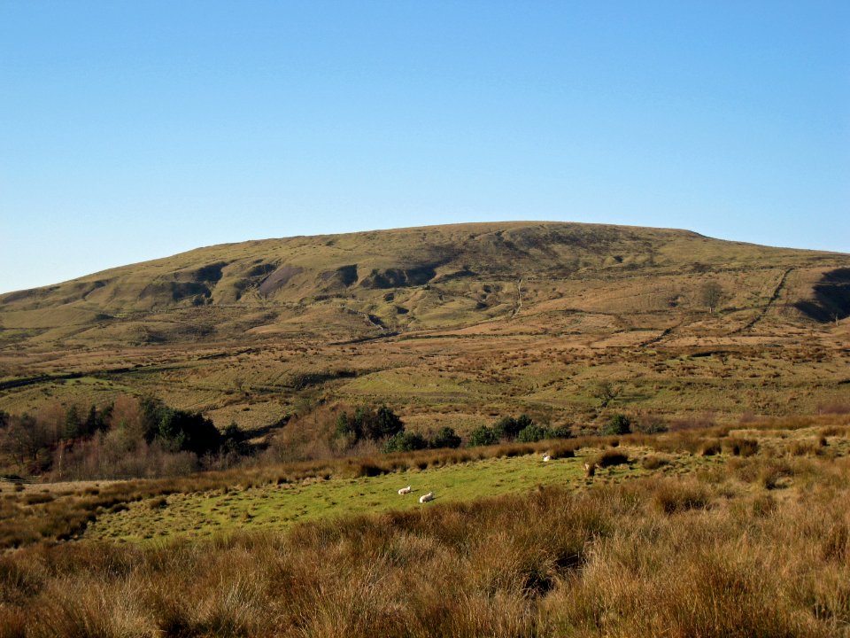 2008 11 25 005-1