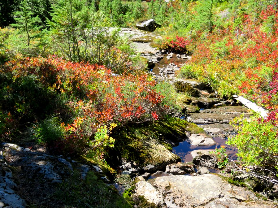 Mt. Rainier NP in Washington