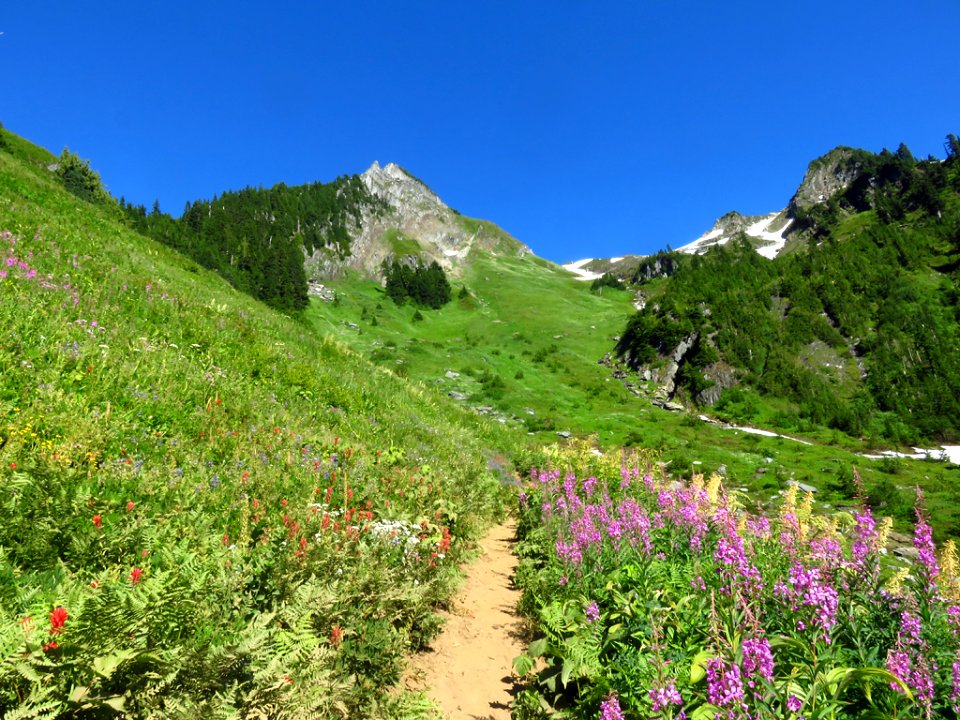 Hidden Lake Trail at North Cascades NP in WA