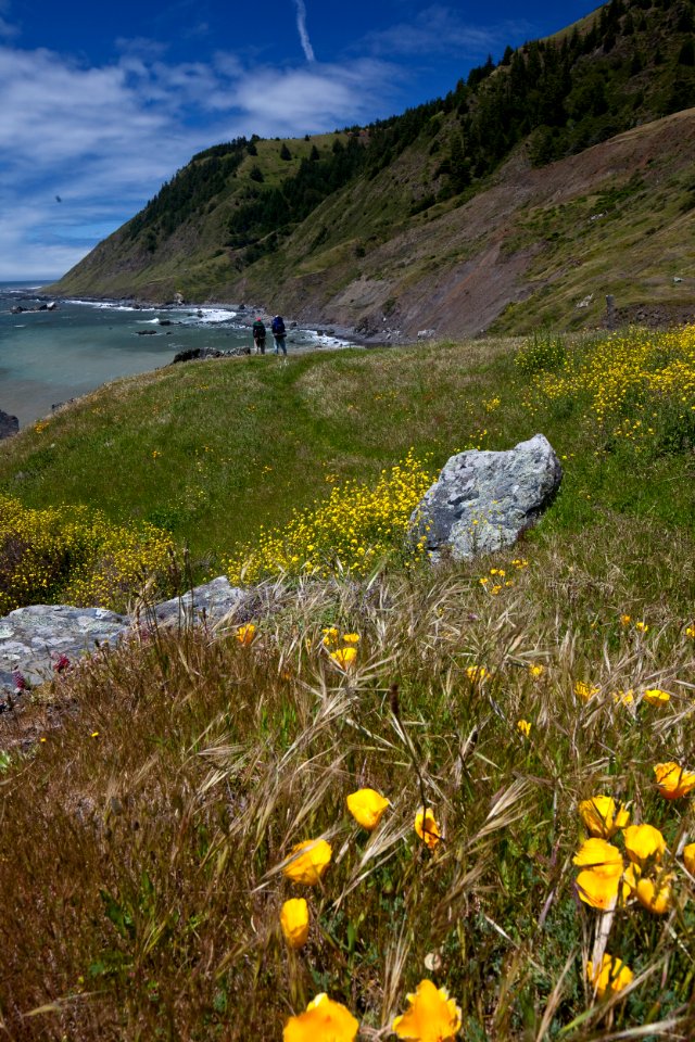 King Range National Conservation Area