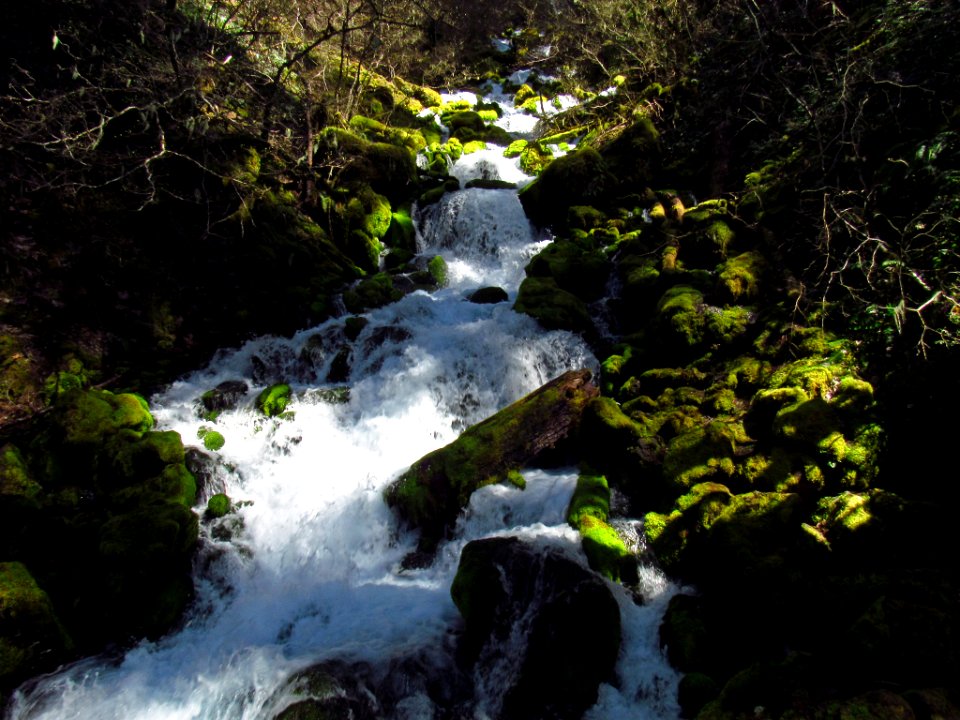 Falls Creek Falls Trail in WA