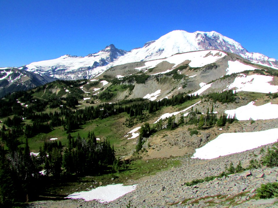 Sunrise Point at Mt. Rainier NP in Washington