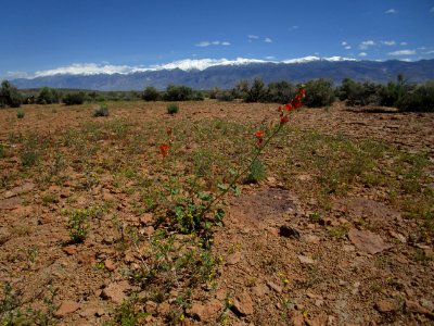 Volcanic Tablelands