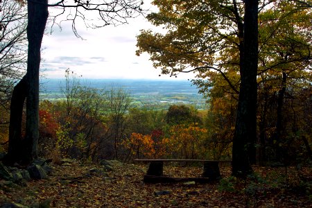 Wide Vista