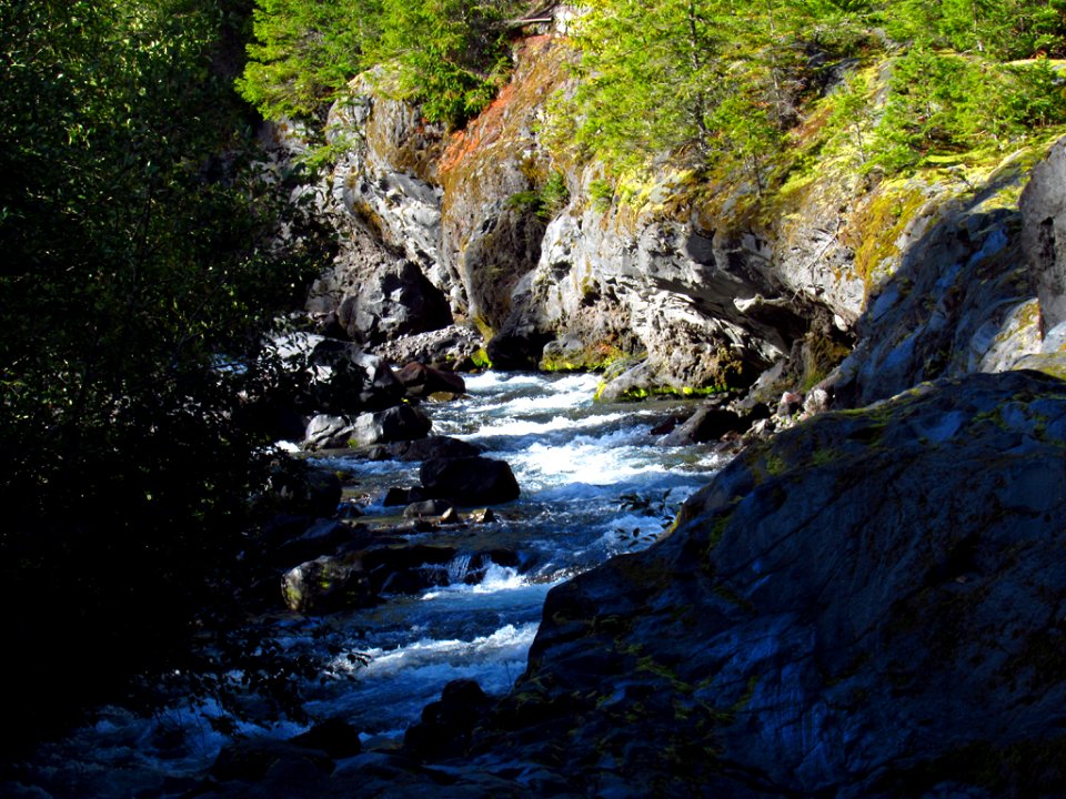 Lava Canyon Trail in WA