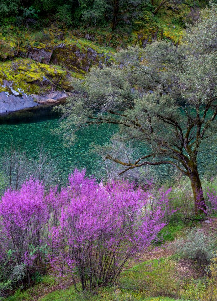 North Fork of the American River