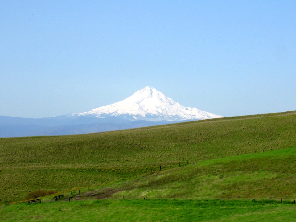 Mt. Hood at Dalles Mt. Ranch in WA