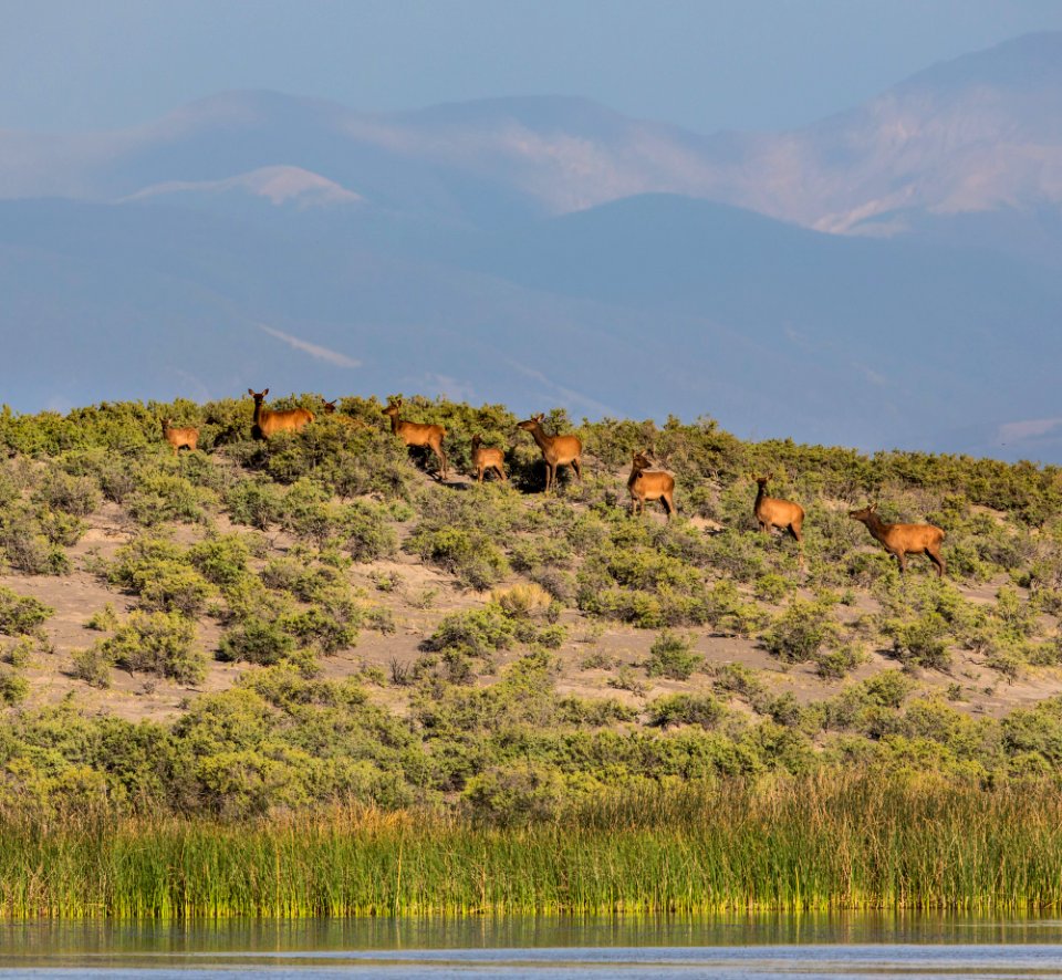 Blanca Wetlands Recreation Area