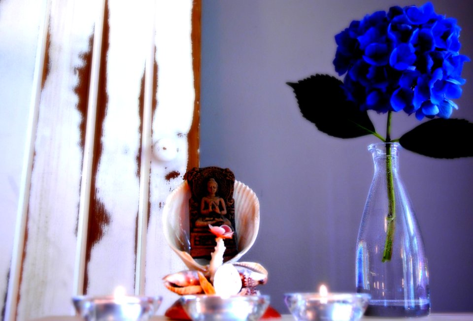 Room of the Blue Flower Buddha, shells, glass vase, votive candles, tabletop, Lael's house, Mountlake Terrace, Washington, USA
