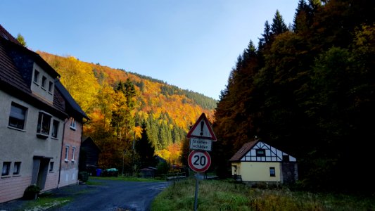 Herbst im Röthengrund 10
