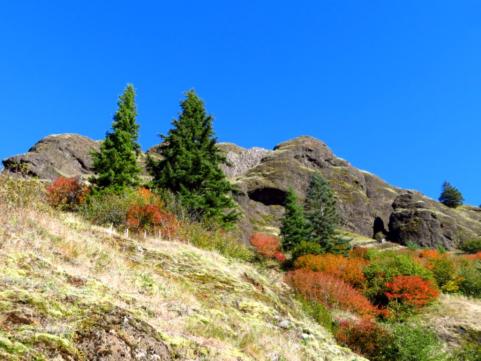 Saddle Mountain Trail in OR