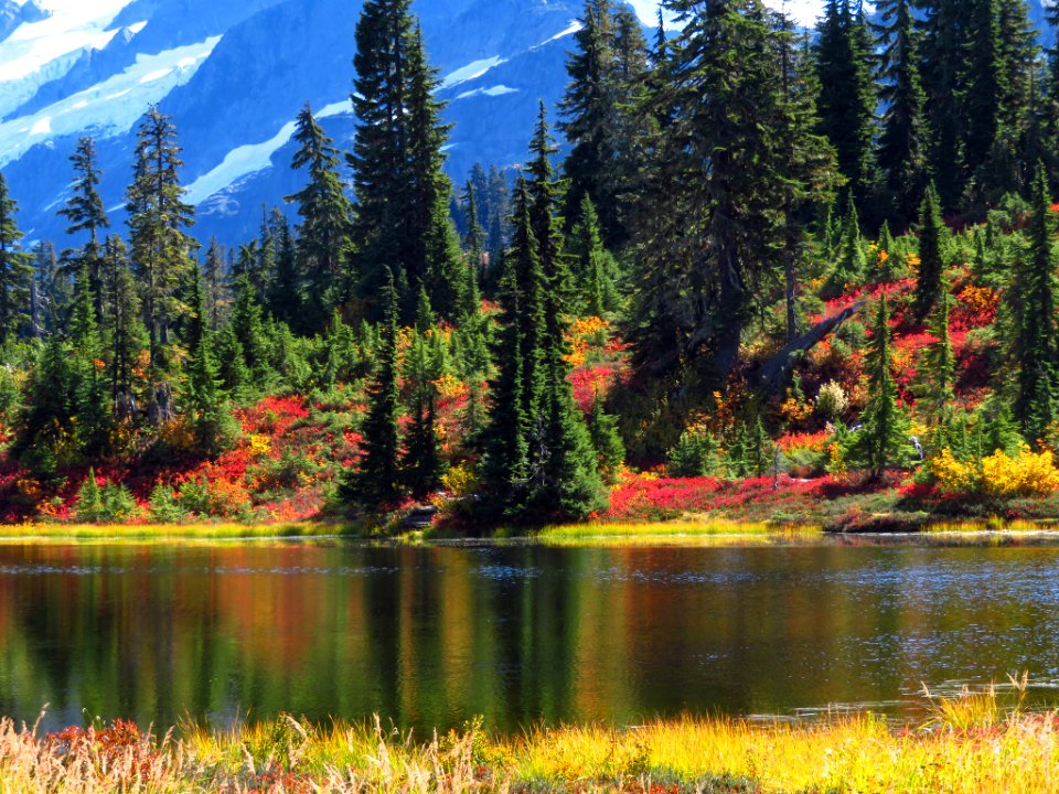 Autumn at Picture Lake in WA