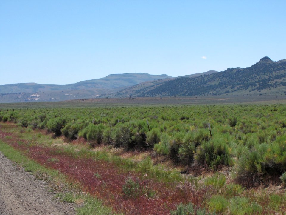 Surprise Valley Barrel Springs Back-Country Byway