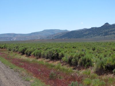 Surprise Valley Barrel Springs Back-Country Byway