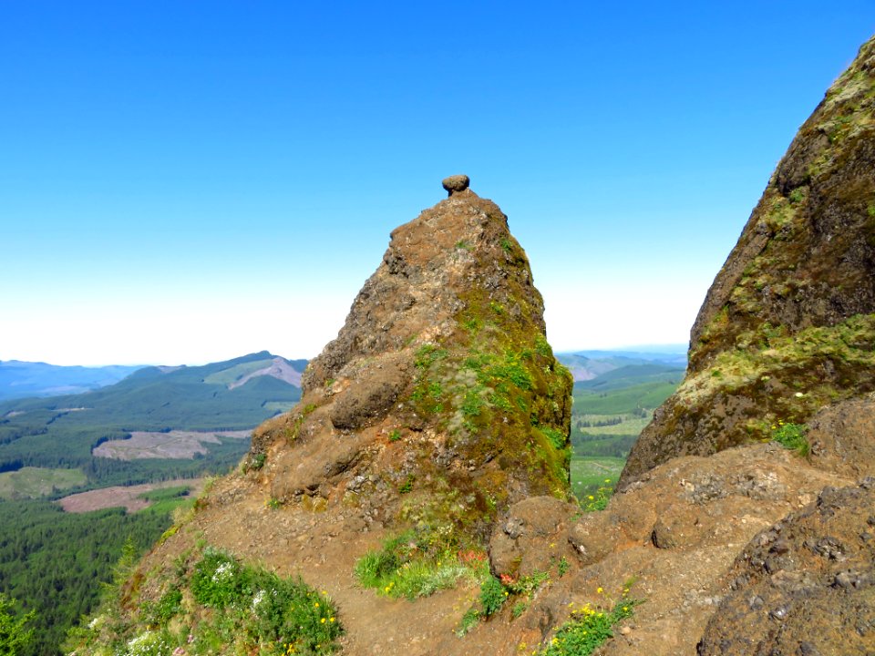 Saddle Mountain Trail in OR