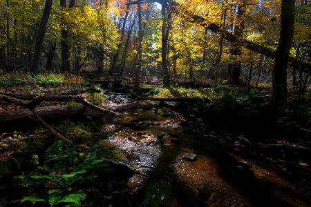 Polarized Owen's Creek