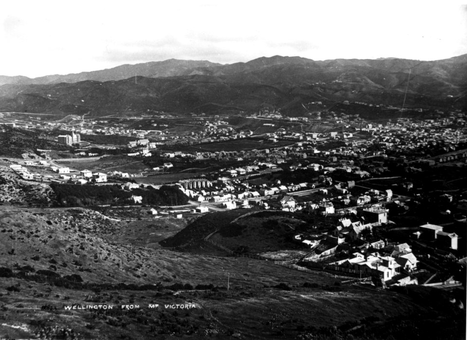 13; Elevated view of Te Aro and Mount Cook, Wellington - Circa 1880 - Glass Plate Negative