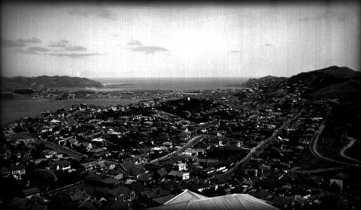 310; Hataitai, from Mount Victoria - Circa 1935