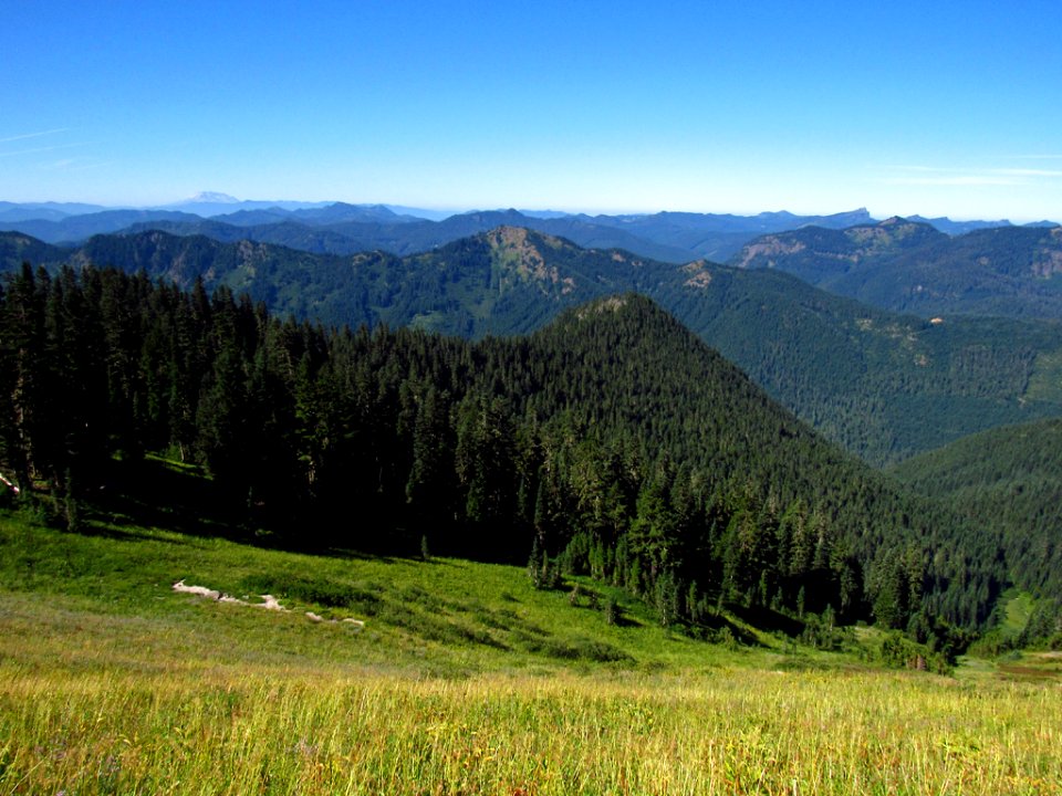 Tatoosh Wilderness in WA