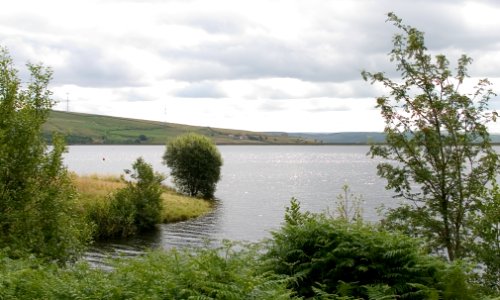 IMG 0140