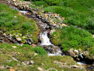 Waterfall at Skyline Trail at Mt. Rainier NP in WA