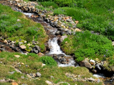 Waterfall at Skyline Trail at Mt. Rainier NP in WA photo