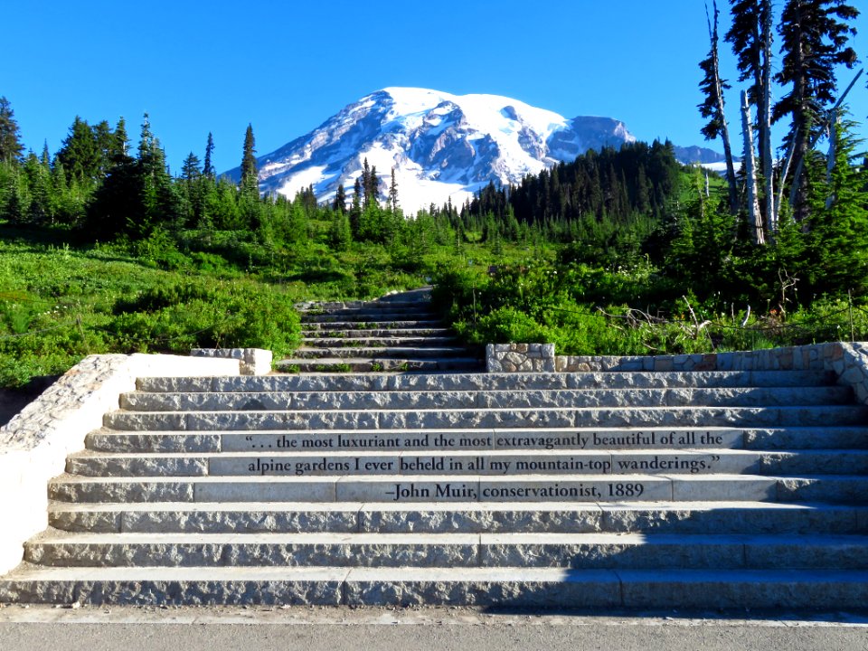 Skyline Trail at Mt. Rainier NP in WA