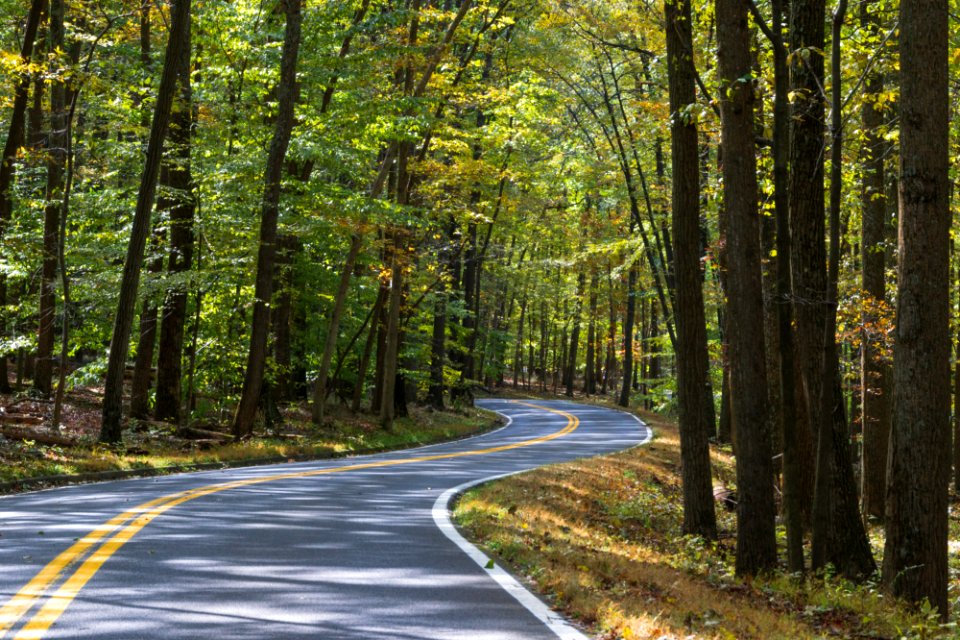 Take The Long Way