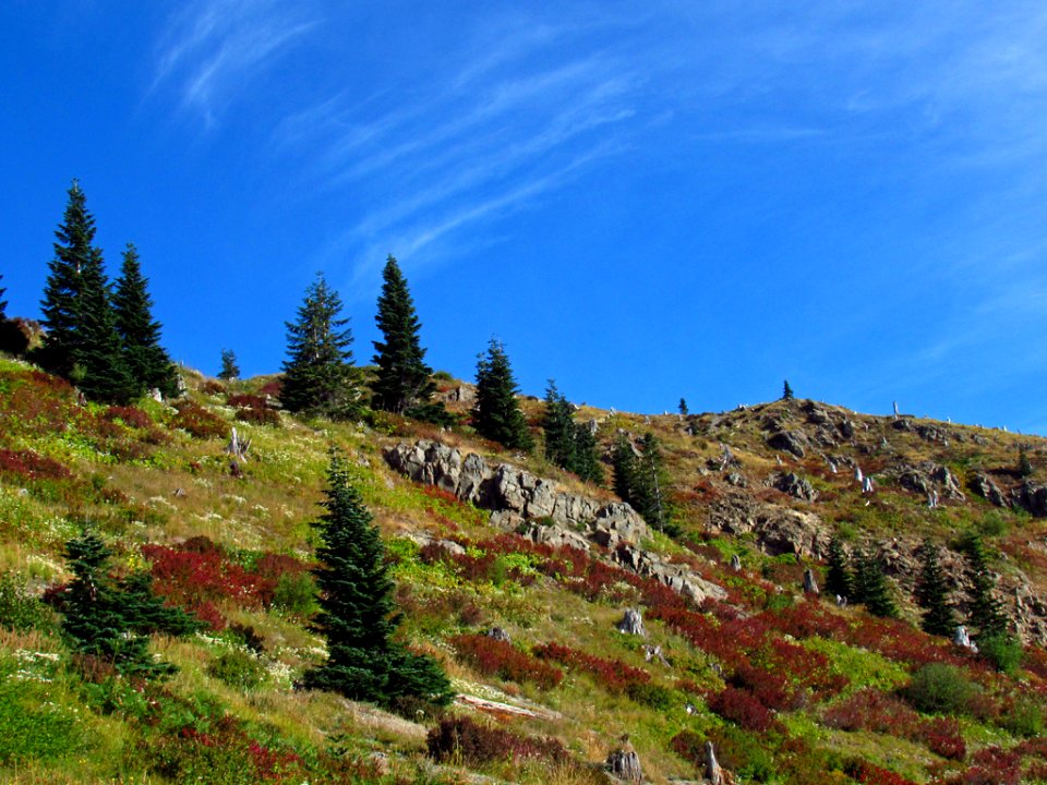Mt. Margaret Backcountry in WA