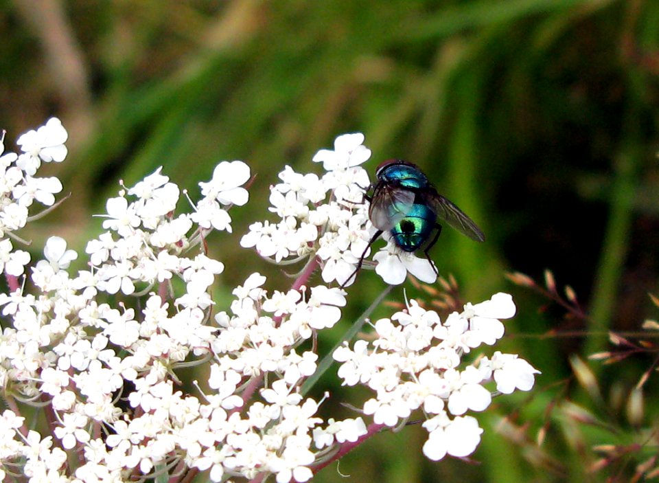 2007 08 10 043a-1