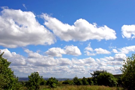 2007 06 27 028-2