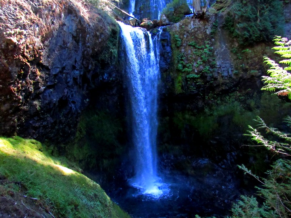Falls Creek Falls Trail at Gifford Pinchot NF in WA