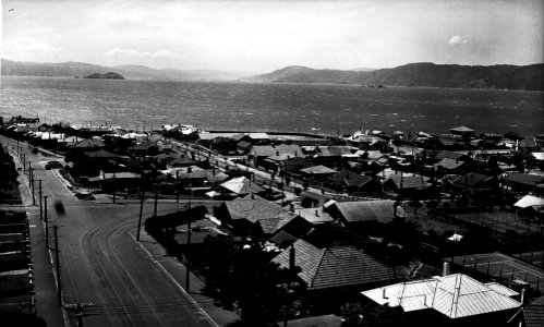 329; Elevated view of Seatoun - Circa 1935