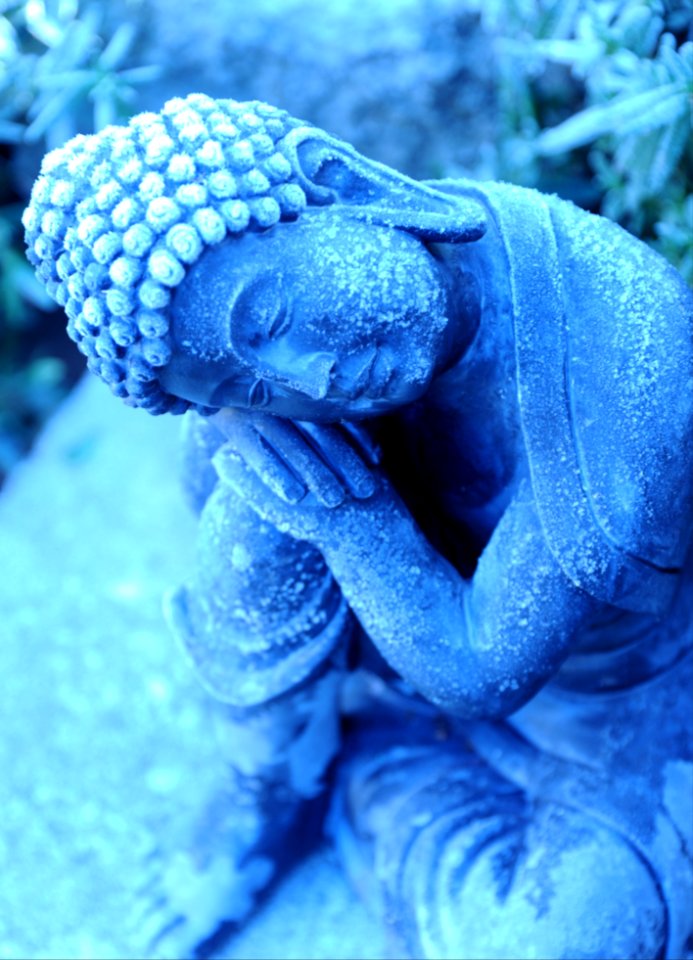 Icy statue of young Lord Buddha, considering, A Garden for the Buddha, Seattle, Washington, USA