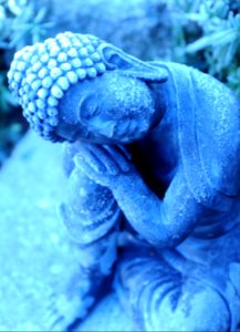 Icy statue of young Lord Buddha, considering, A Garden for the Buddha, Seattle, Washington, USA photo