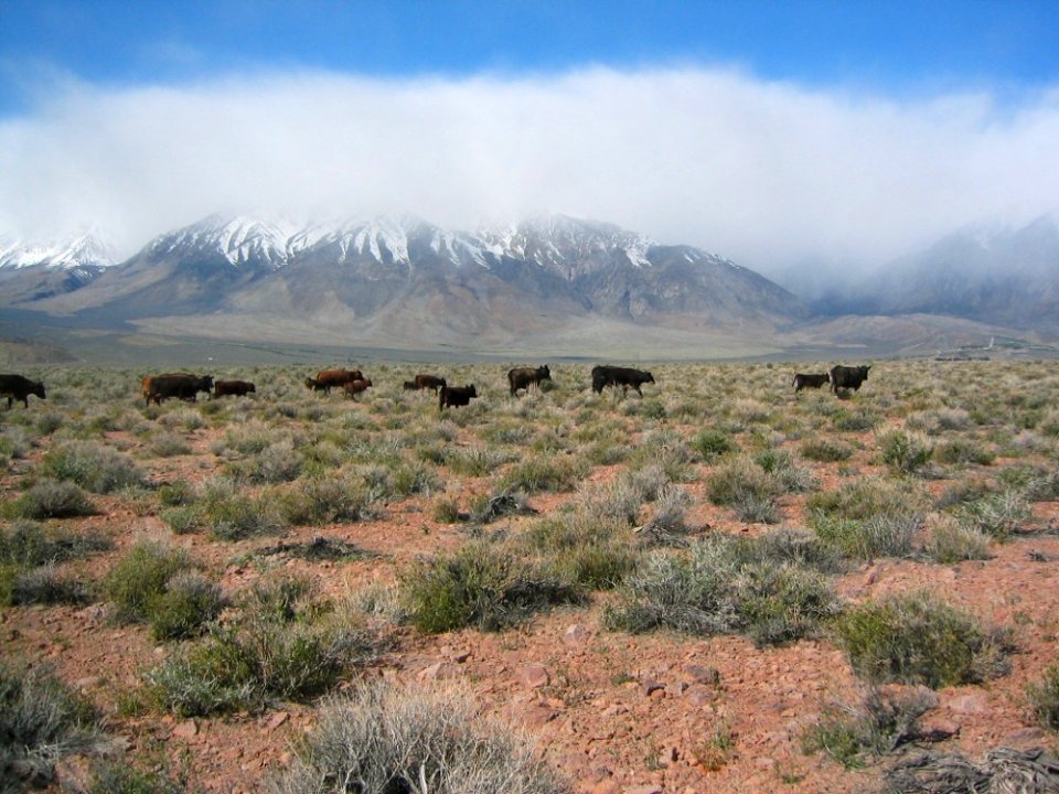 Volcanic Tablelands