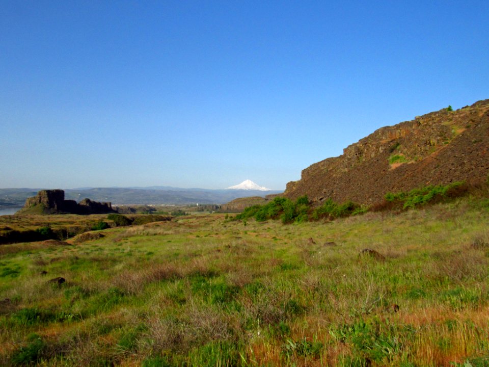 Crawford Oaks Trail at Columbia Hills SP in WA
