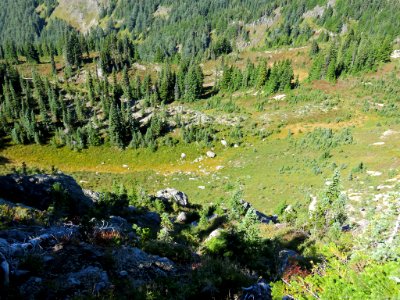 Mt. Rainier NP in Washington photo