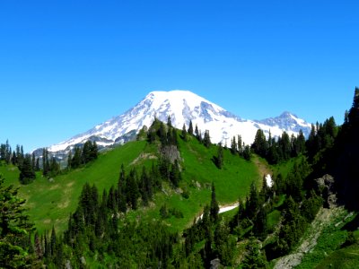 Mt. Rainier on Tatoosh Peak Trail in WA