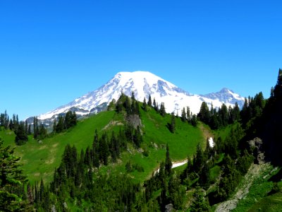 Mt. Rainier on Tatoosh Peak Trail in WA photo