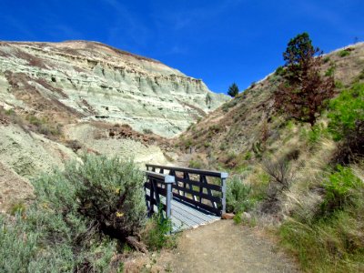 Island in Time Trail at John Day Fossil Beds in OR