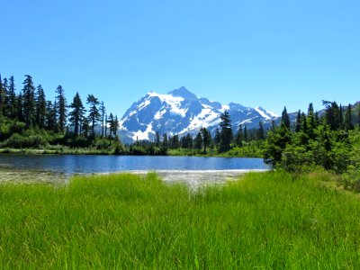 Picture Lake and Mt. Shuksan at Mt. Baker-Snoqualmie NF in Washington photo