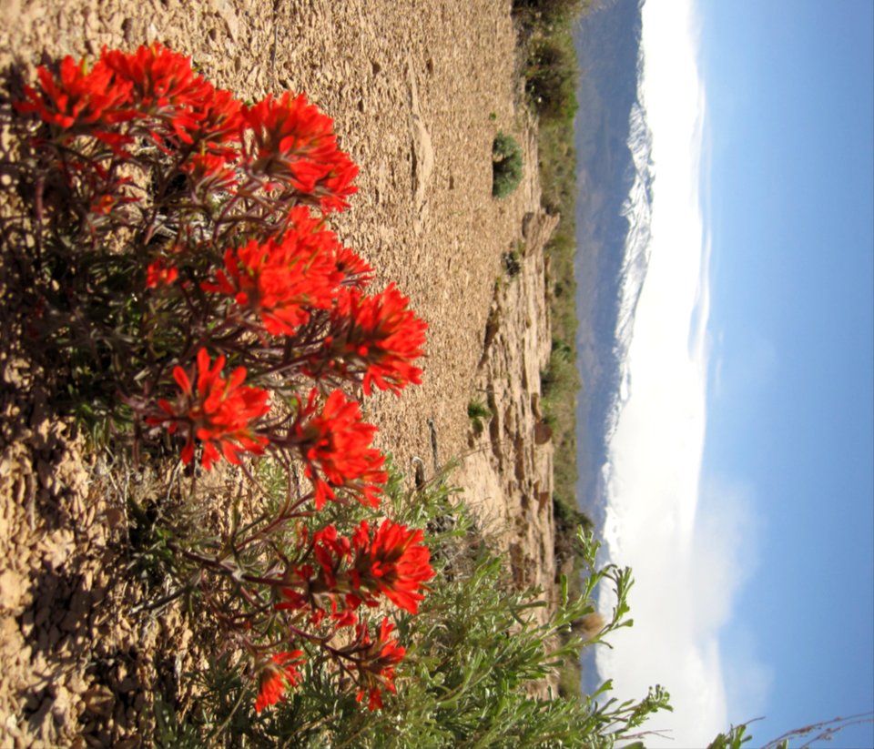 Volcanic Tablelands