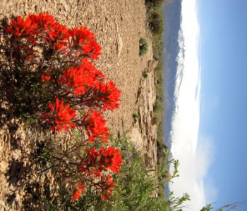 Volcanic Tablelands photo