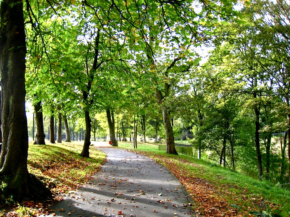 Queen's Park Heywood