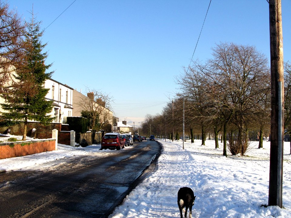 2008 12 03 030-1