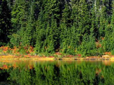 Autumn at Picture Lake in WA