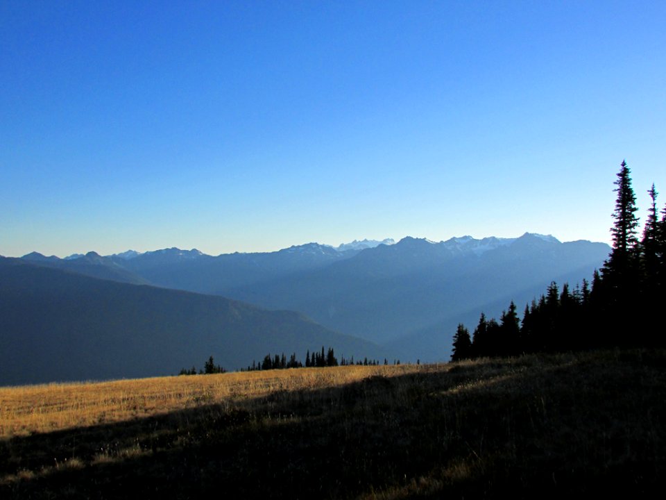 Hurricane Ridge at Olympic NP in WA