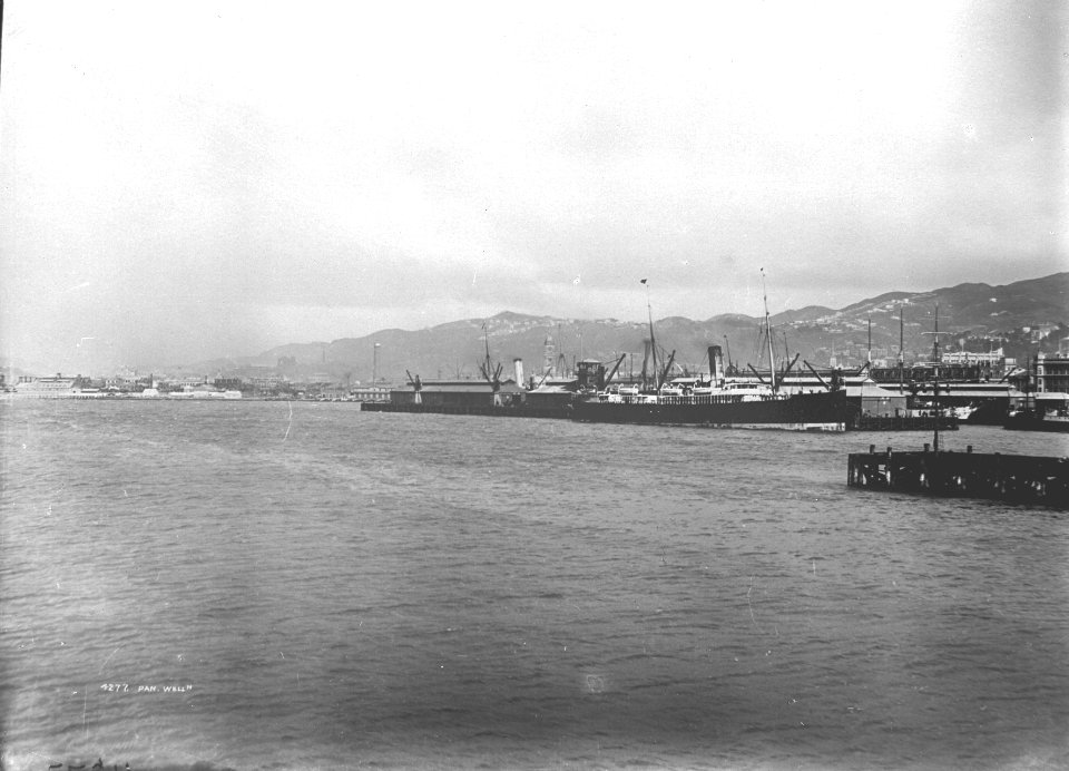 25; Wellington Wharves - Circa 1900 - Glass Plate Negative